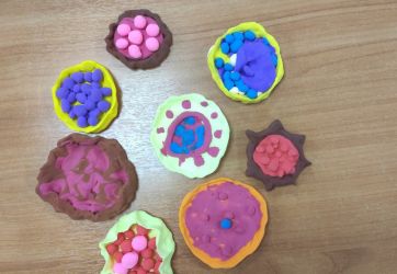 Библиотека - территория радости (6+)