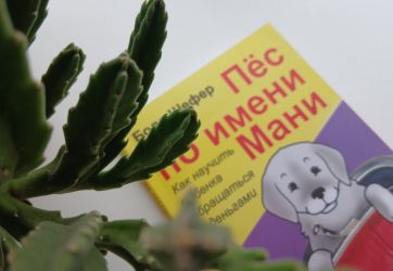 «Пёс по имени Мани» (12+)